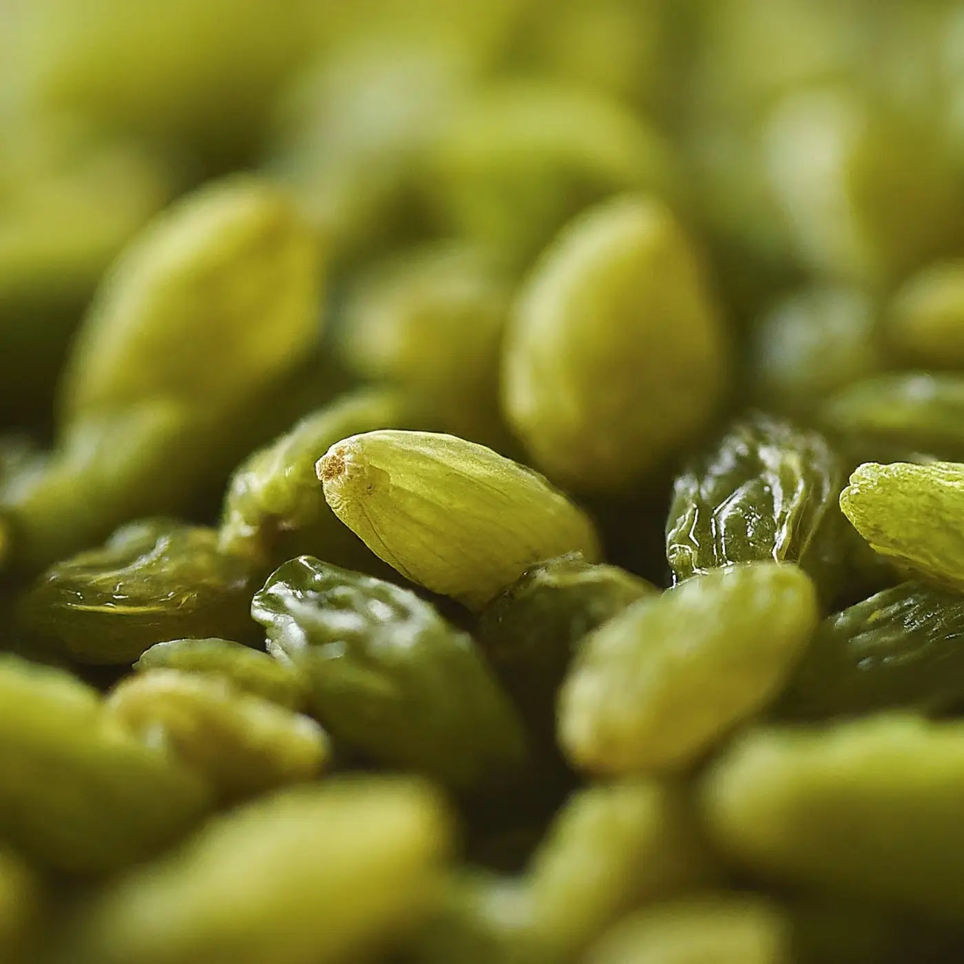 Why Green Raisins Are the Perfect Snack： Nutritional Insights