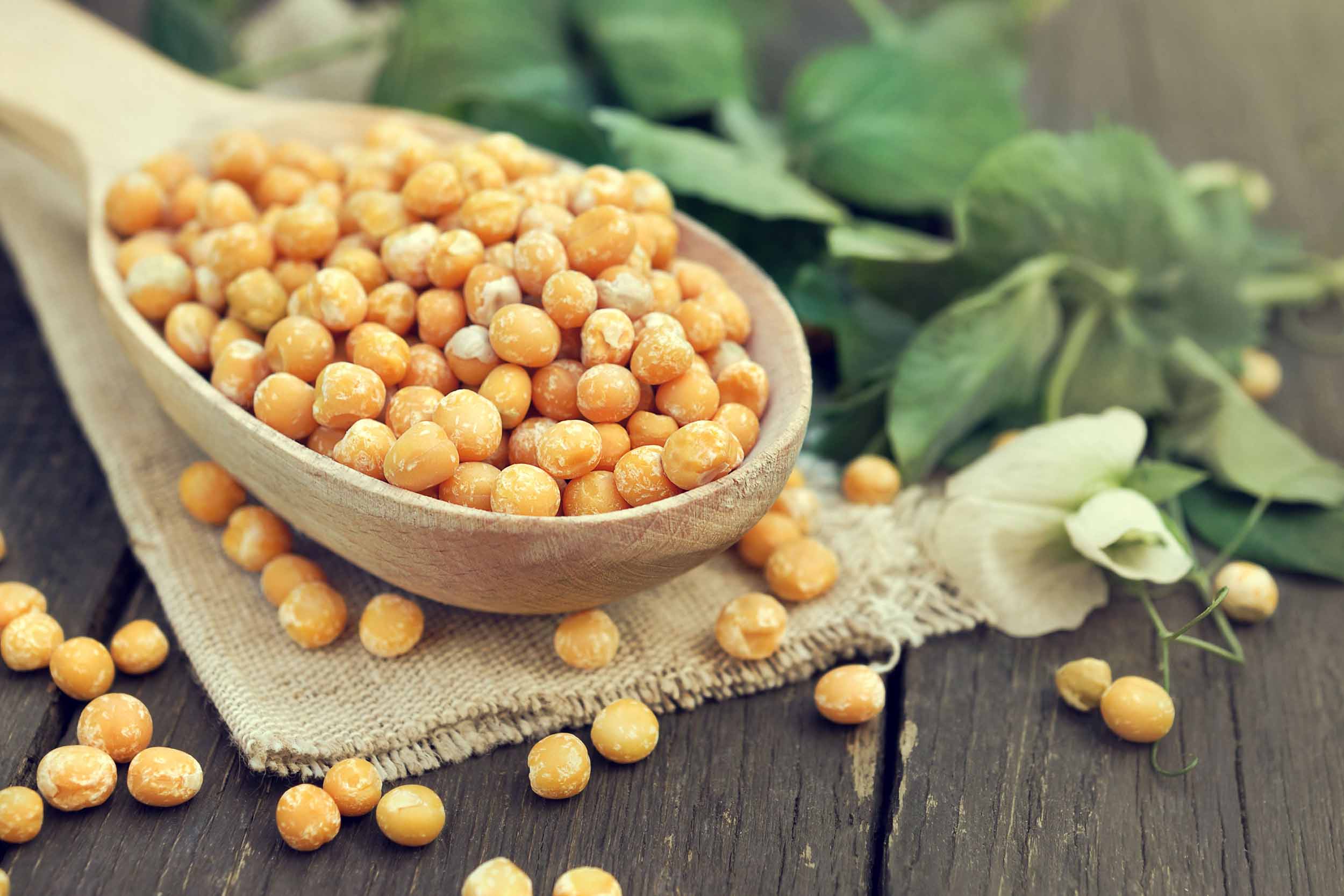 Yellow Peas Benefits and Uses： The Ultimate Plant-Based Protein Source