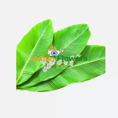 Purchase Fresh Banana Leaves Online for Cooking & Decoration