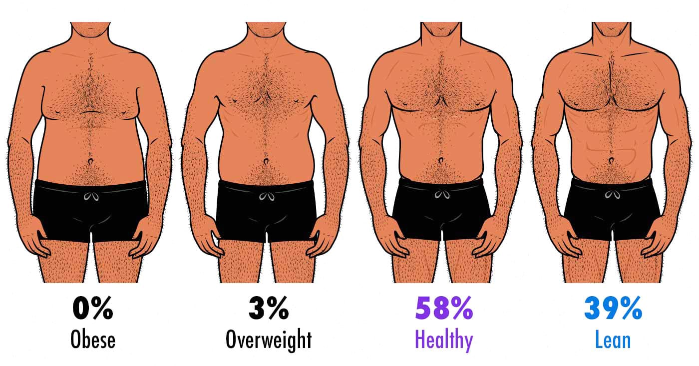 Do People with Higher Body Fat Tan Faster？ Science Explained