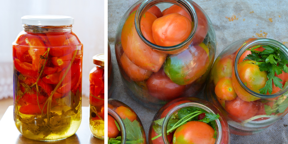 Overflowing with Tomatoes？ Best Ways to Preserve and Enjoy Your Harvest