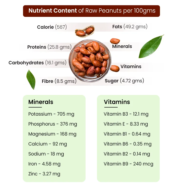 Exploring Raw Walnut： Benefits, Nutritional Value, and Usage Tips