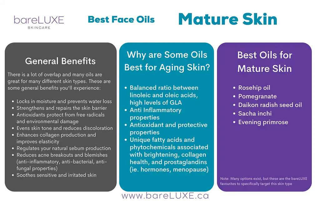 Best Carrier Oils for Mature Skin: Top Choices for Anti-Aging and Hydration