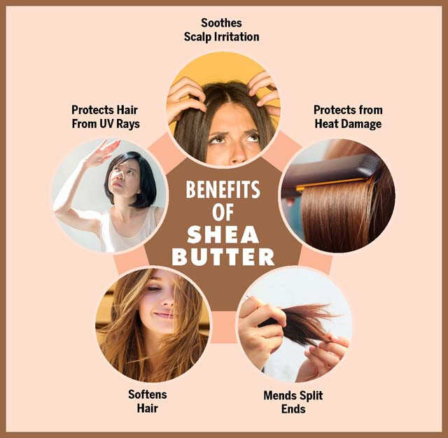 Is Butter a Good Hair Treatment? Benefits of Ghee, Shea, and More