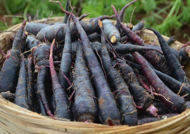 Why Black Nebula Carrots Are the Ultimate Antioxidant-packed Vegetable