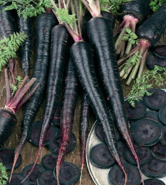 Why Black Nebula Carrots Are the Ultimate Antioxidant-packed Vegetable