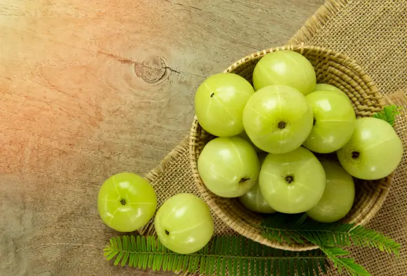 Benefits of Amla Dry Fruit: Boost Immunity & Support Digestion Naturally