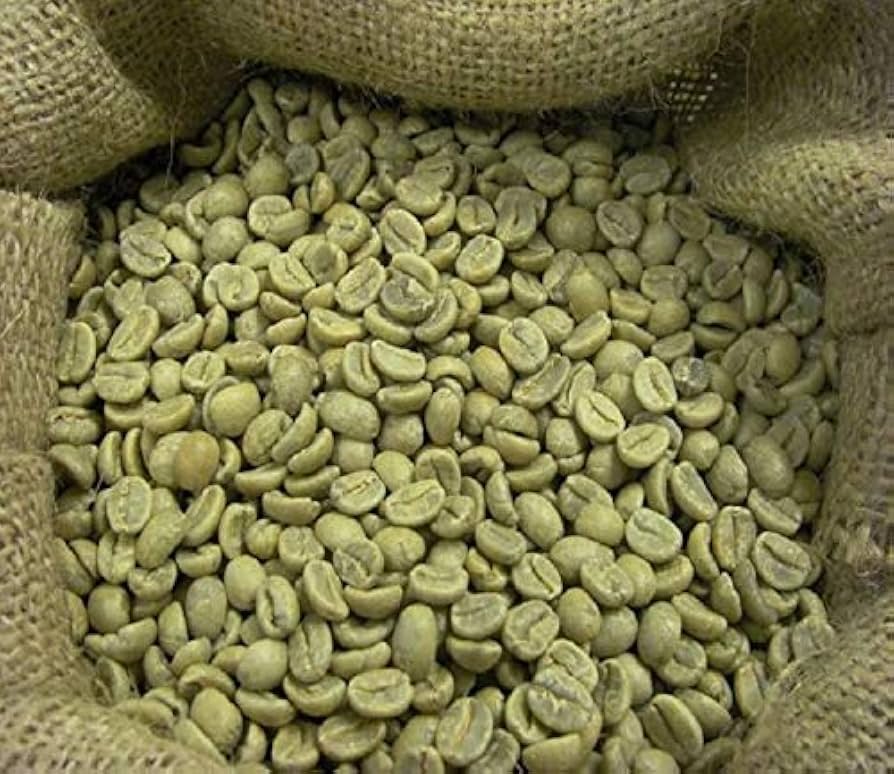 Best Green Coffee Beans for Fresh Roasts: Top Picks in 2024