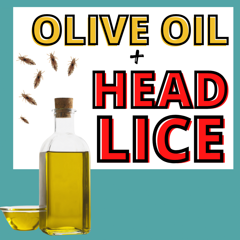 How Effective Is Olive Oil at Killing Lice and Nits? Discover the Facts