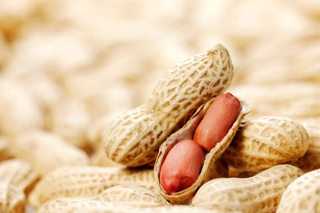 Peanuts with Skin: A Hidden Source of Antioxidants and Dietary Fiber