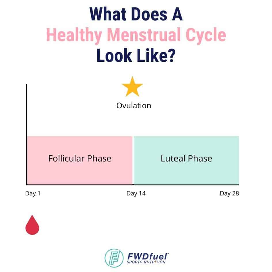 Can Taking Probiotics Reduce Your Menstrual Cycle Duration? Find Out Here