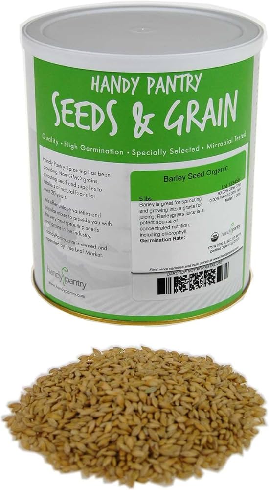 Barley Seeds: Top Varieties for Brewing, Juicing & Animal Feed