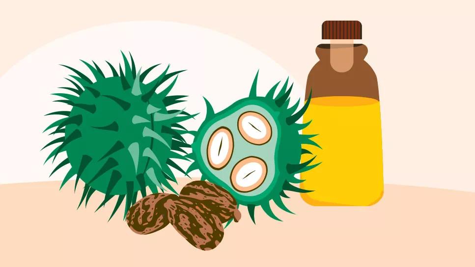 Exploring the Uses of Castor Oil Vaginally: Health Benefits and Precautions