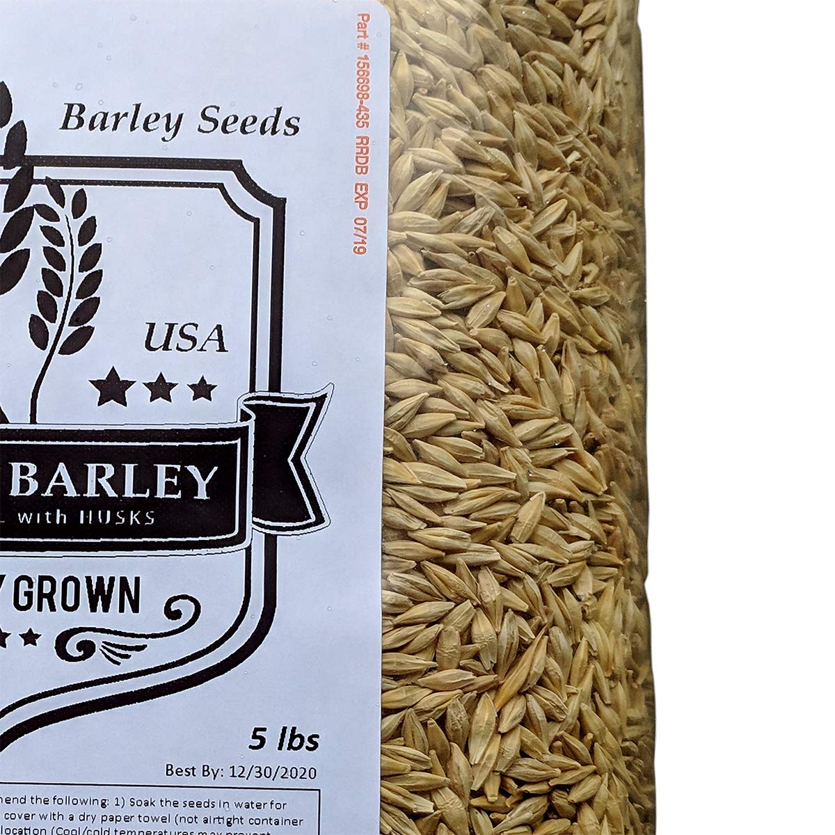 Barley Seeds: Top Varieties for Brewing, Juicing & Animal Feed