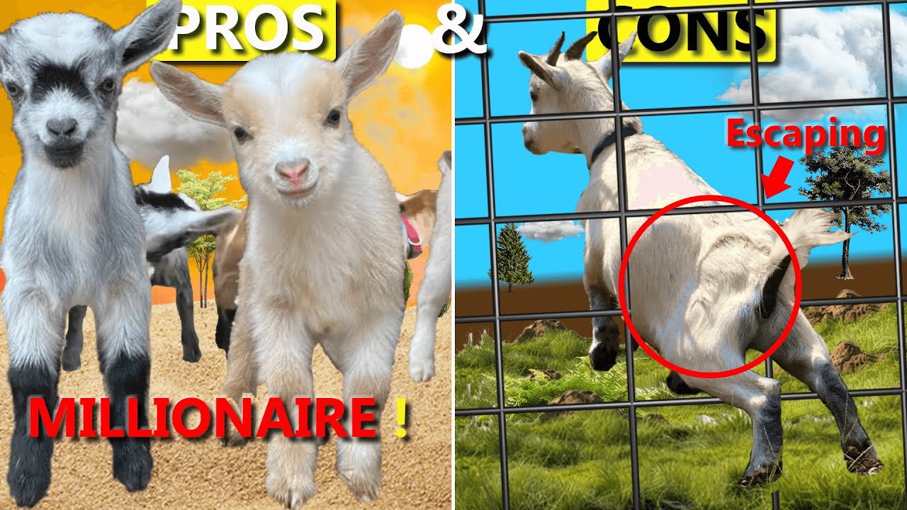 Weighing the Pros and Cons of Goats: Benefits, Challenges, and Key Insights