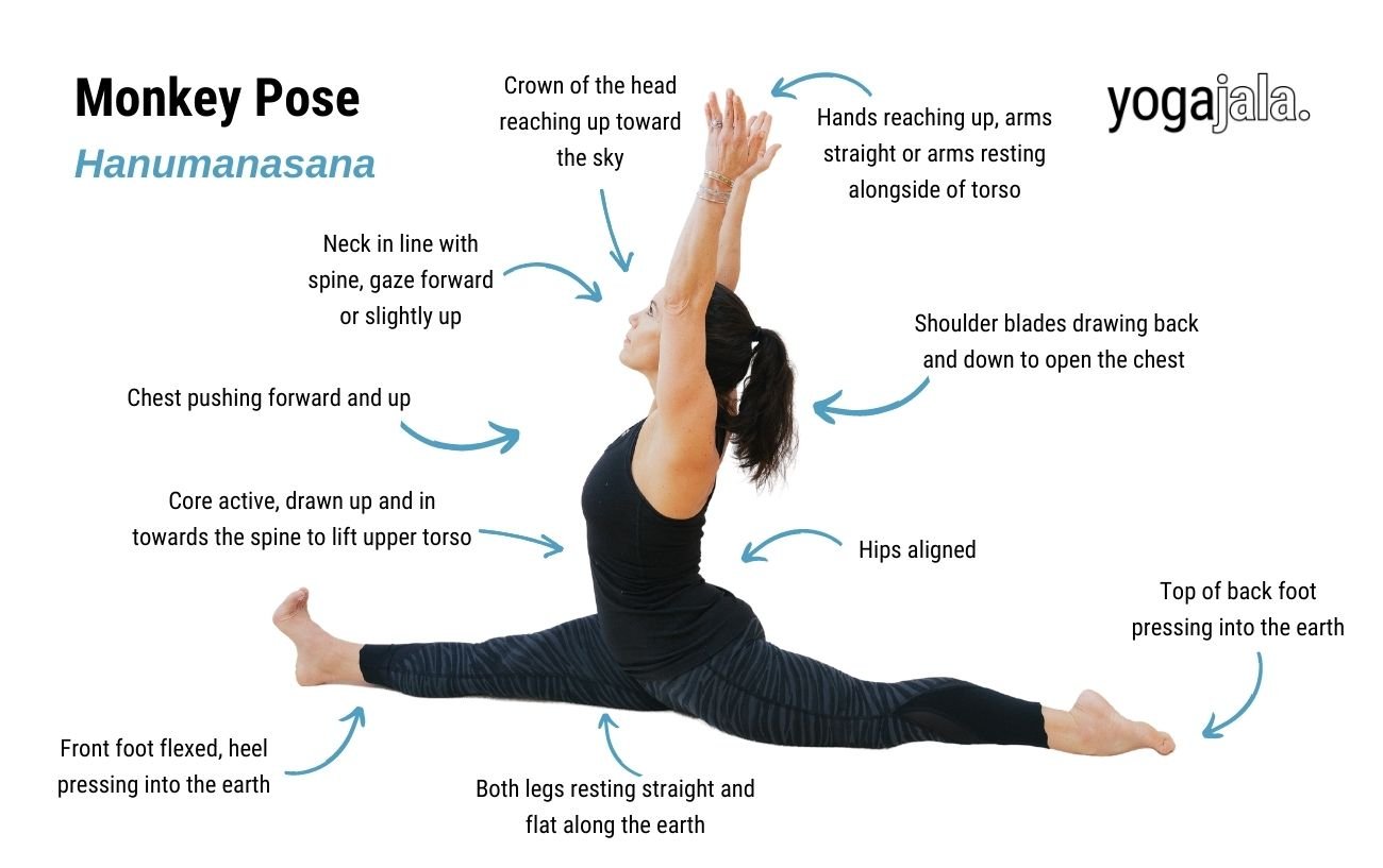 Monkey Pose Yoga: Benefits, Tips, and Techniques for Flexibility