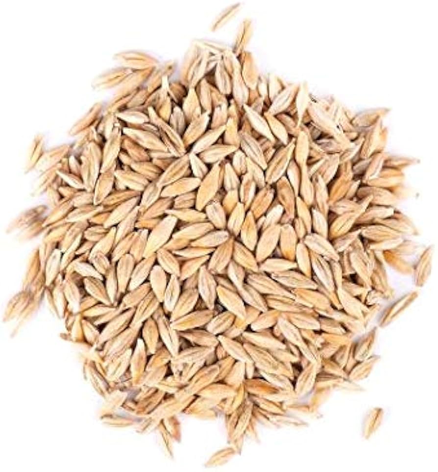 Discover the Best Barley Seeds for Sale – Organic and Non-GMO Options