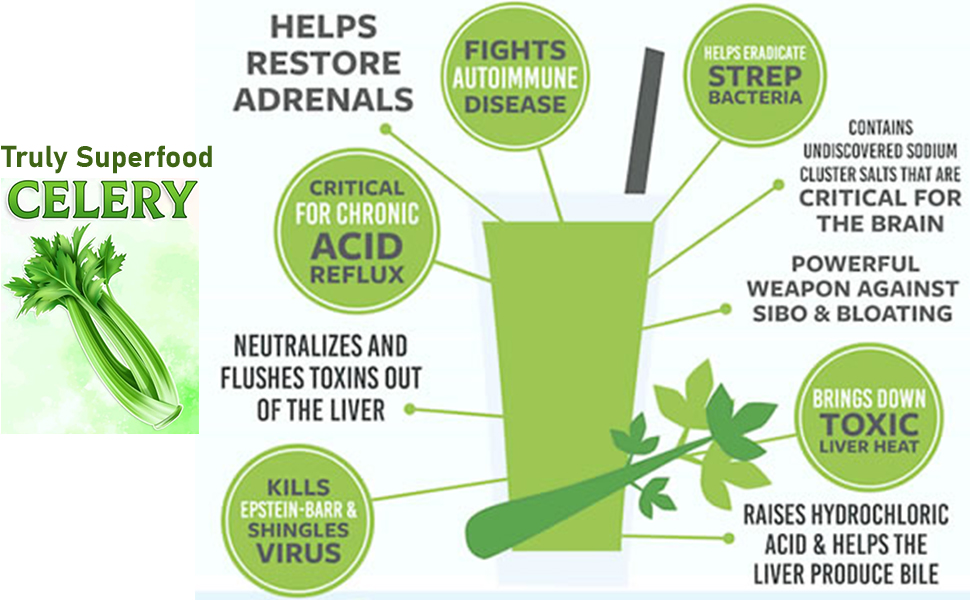 How Ginger and Celery Juice Boosts Health: Anti-inflammatory & Antioxidant Powers