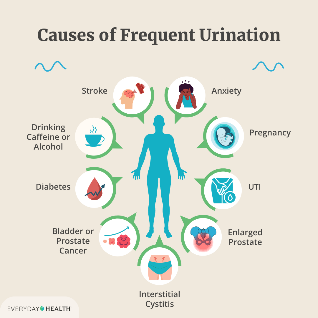 Why Do You Pee More Before Your Period? Common Causes Explained