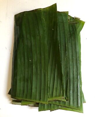 How to Purchase Fresh Banana Leaves for Cooking and Wrapping