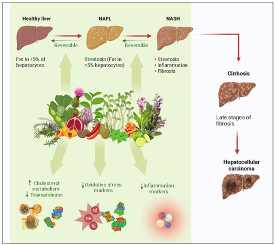 Pineapple and Liver: A Natural Remedy for Fatty Liver and Cholesterol