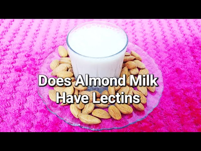 Is Almond Milk Lectin-Free? The Truth About Almond Milk and Lectins