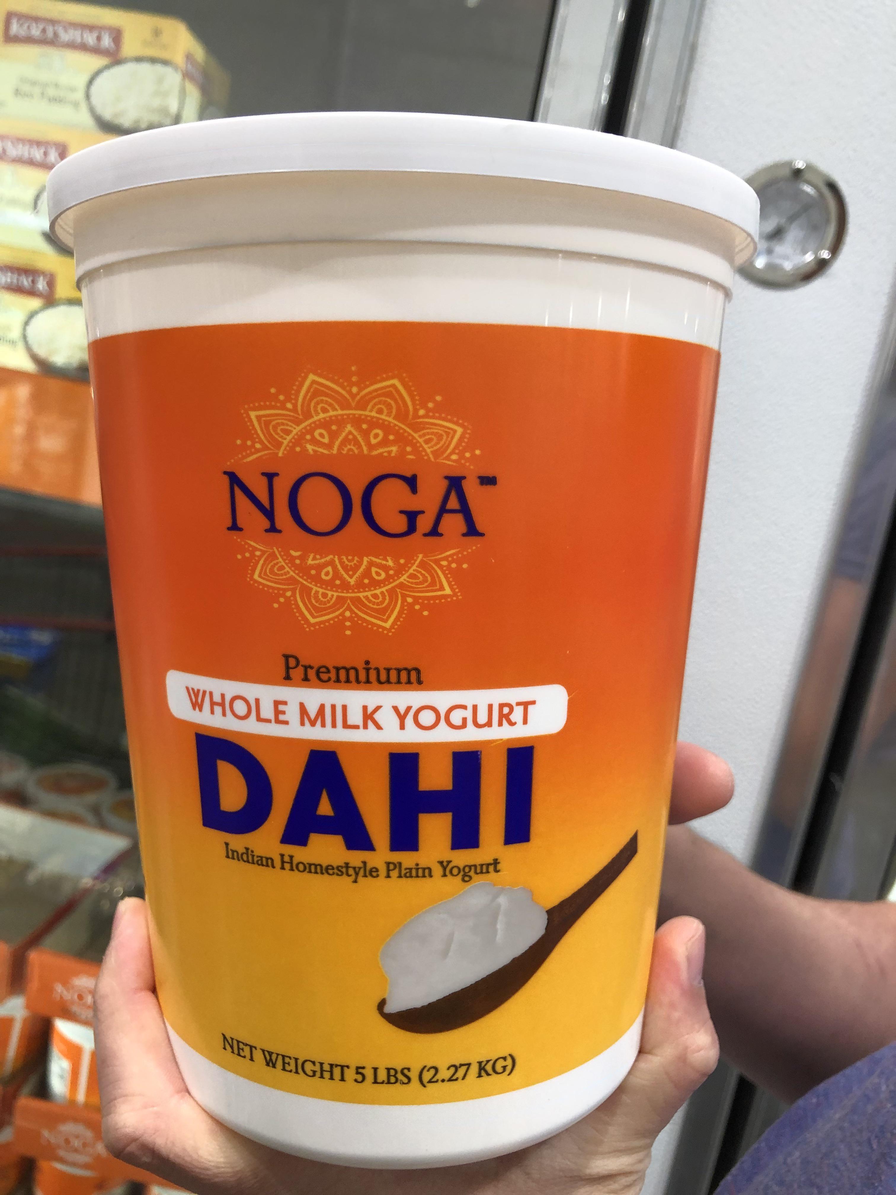 Noga Dahi Yogurt Review: A Delicious, Creamy, Full-Fat Yogurt for Yogurt Lovers