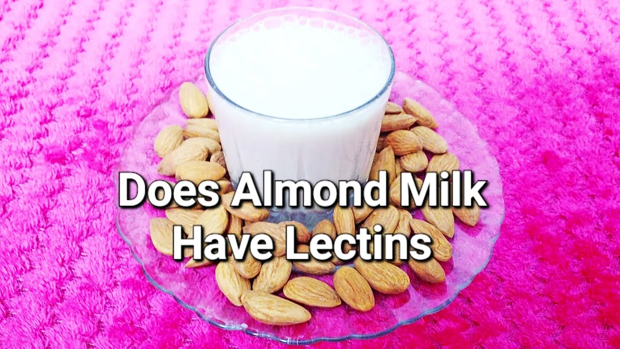 Is Almond Milk Lectin-Free? The Truth About Almond Milk and Lectins