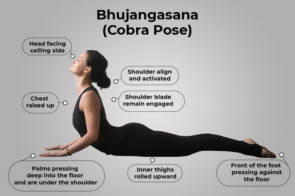 King Cobra Pose (Raja Bhujangasana): Benefits, Tips, and Step-by-Step Guide