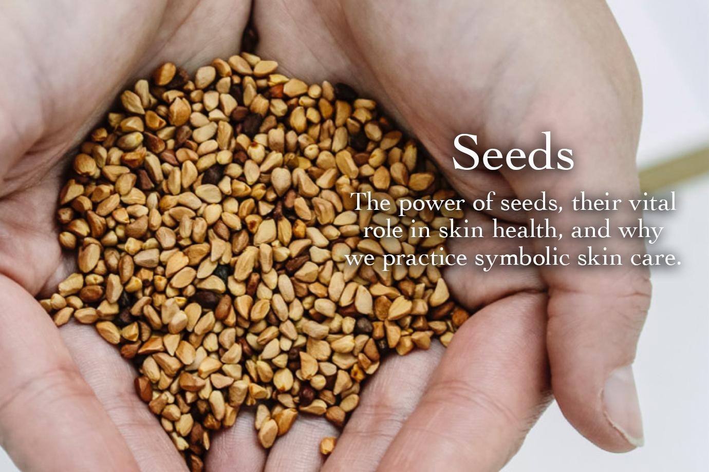 Why Beauty Seeds Are the Secret to Natural Skin Care and Wellness