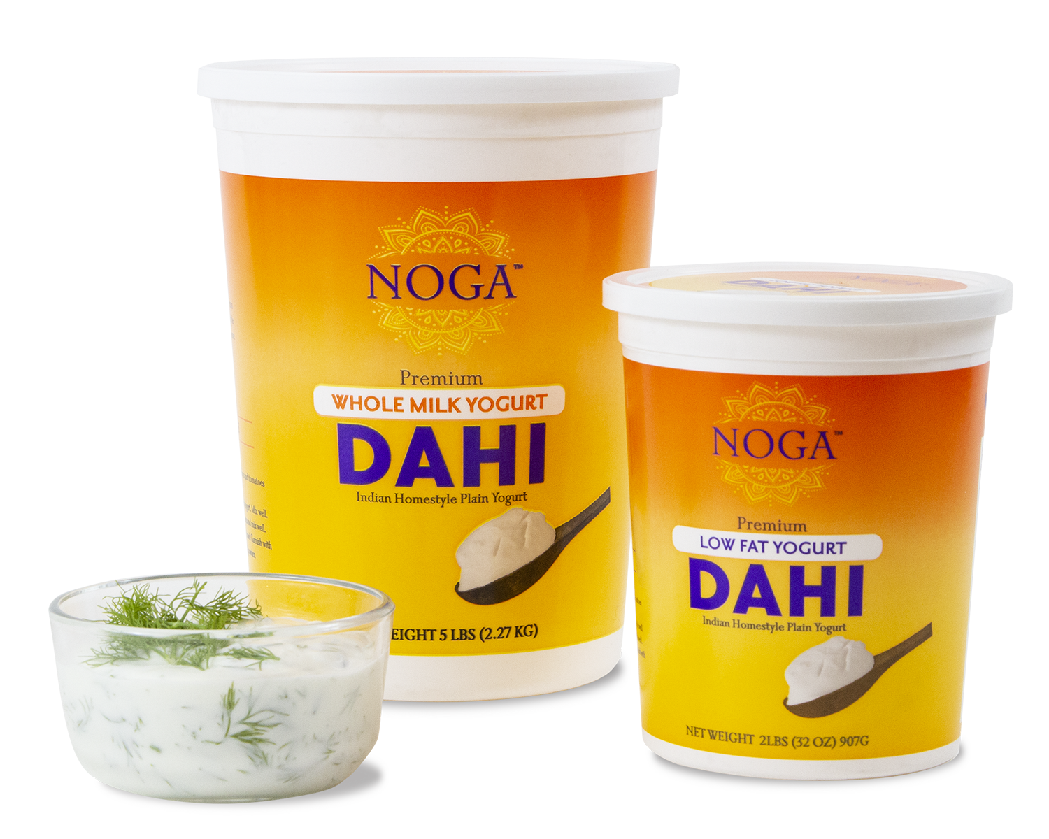 Noga Dahi Yogurt Review: A Delicious, Creamy, Full-Fat Yogurt for Yogurt Lovers