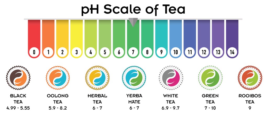 Understanding the pH Value of Green Tea: Is It Acidic or Alkaline?