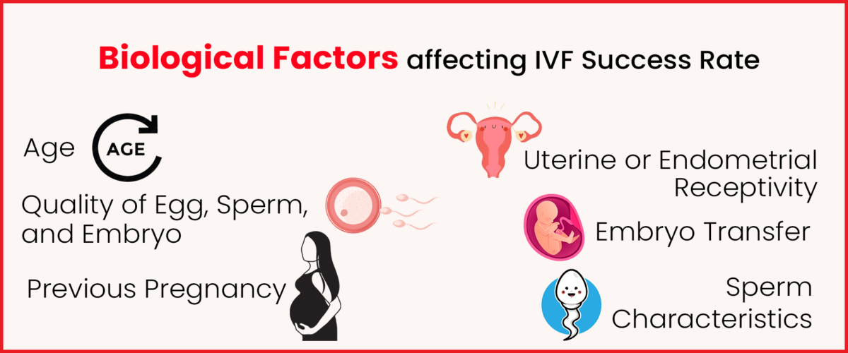 IVF and Miscarriage Risk: Key Factors Affecting Pregnancy Success