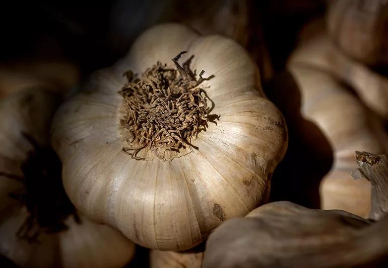 Garlic Tea Recipe: A Natural Remedy for Heart Health and Immunity