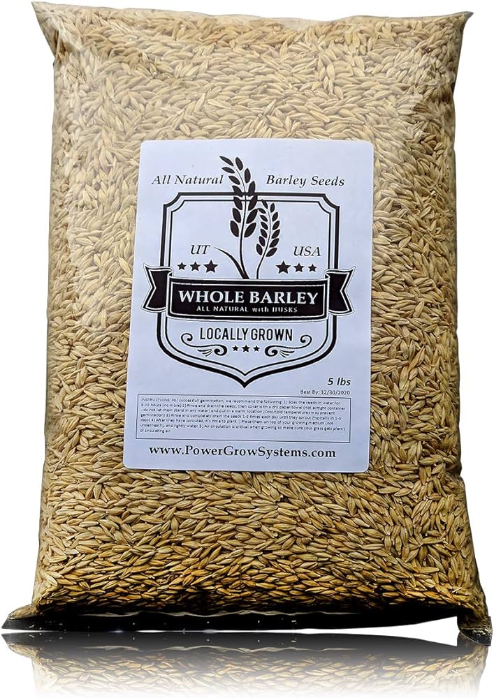 Barley Seeds: Top Varieties for Brewing, Juicing & Animal Feed