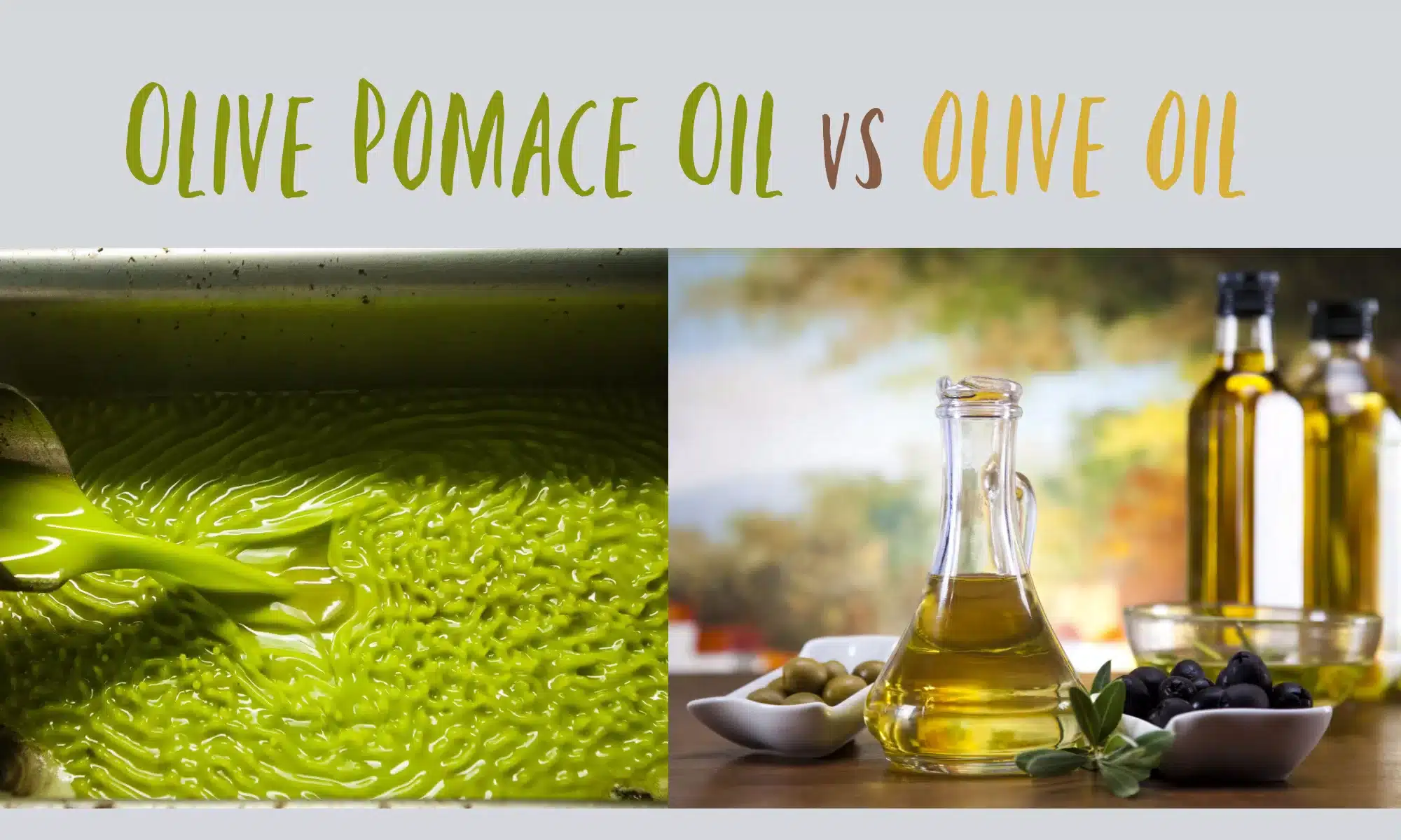 What's the Difference Between Olive Oil and Olive Pomace Oil?