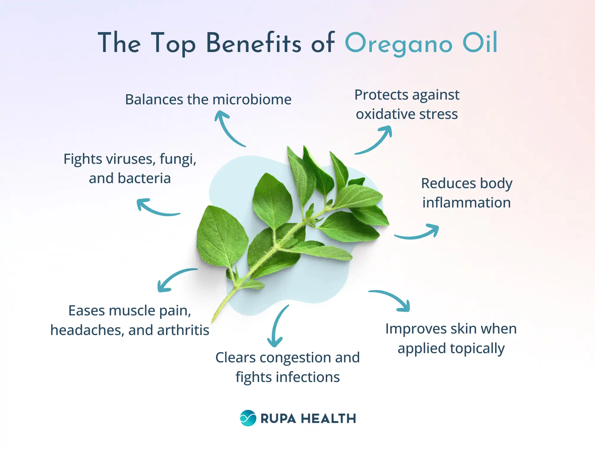 Black Oregano Oil Benefits: Top Health Advantages You Should Know