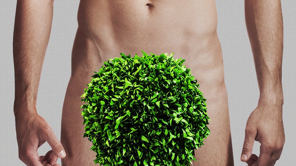 how to grow pubes quicker