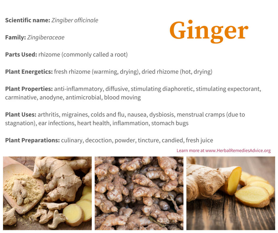 What Is Dried Ginger? A Complete Guide to Its Uses and Benefits