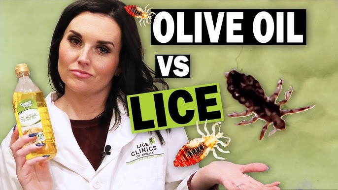 How Effective Is Olive Oil at Killing Lice and Nits? Discover the Facts