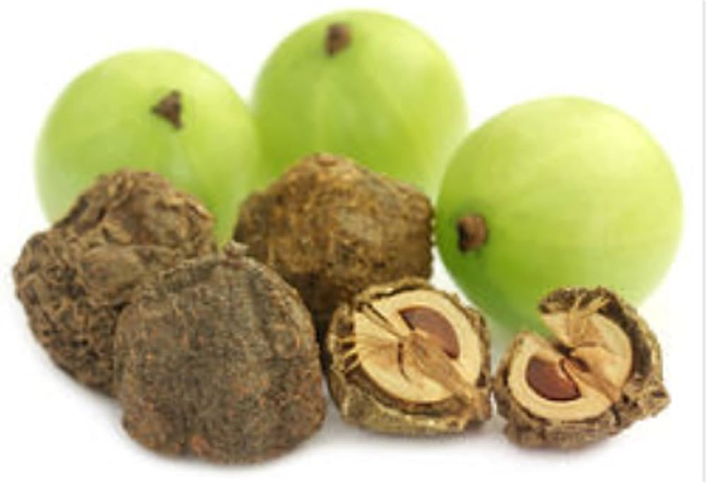 Dry Amla: The Superfood You Should Add to Your Diet