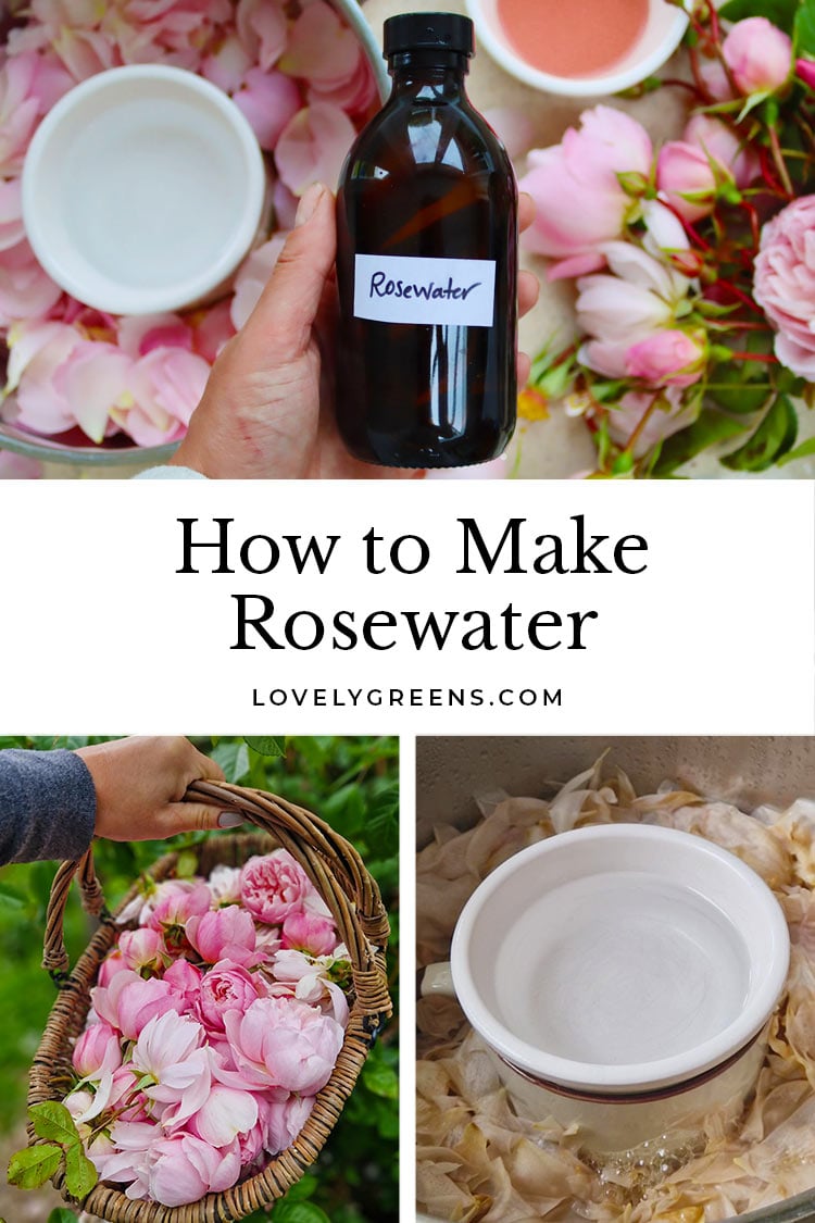 Quick Guide: How Do You Make Rose Water for Face at Home