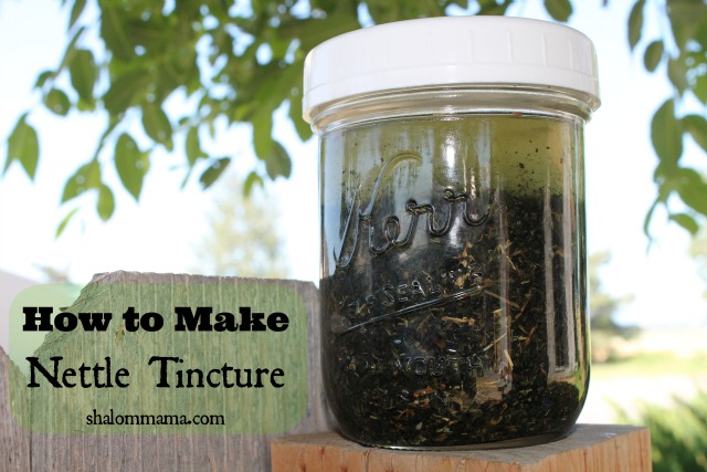 DIY Stinging Nettle Tincture: Quick and Easy How-To