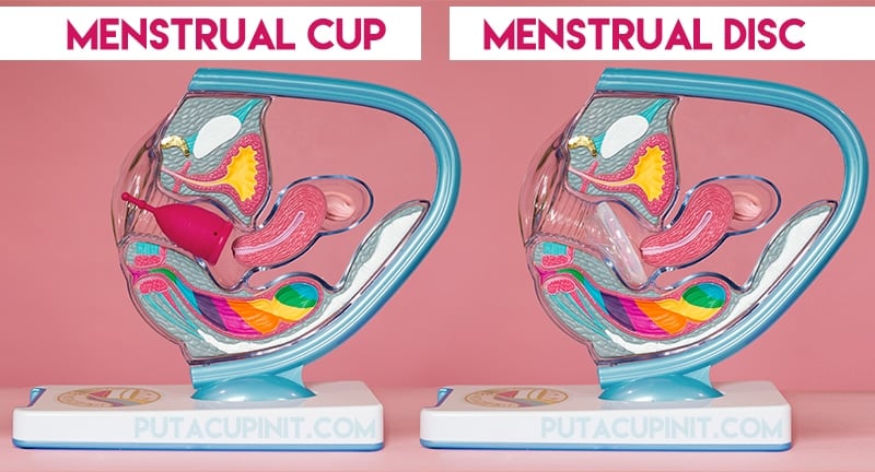 Beginners Guide: Understanding the Difference Between Menstrual Cup and Disc