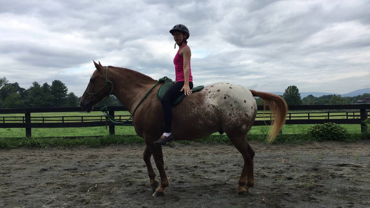 Try Horse Yoga: A Fun Way to Relax and De-stress