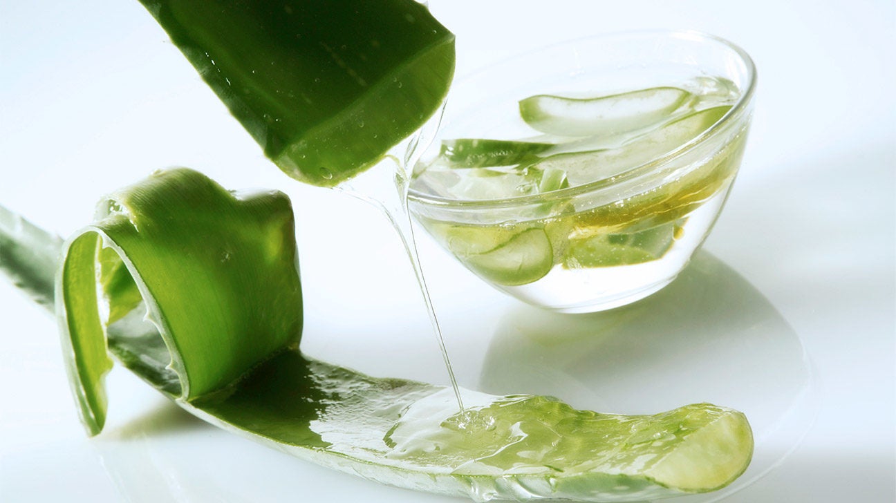 Aloe vera for hair: does it really help? See real results and easy tips!