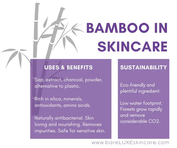 Unlocking the Secret of Bamboo Powder Benefits for You