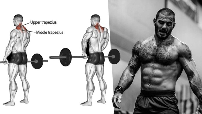 Surprising Benefits of Shrugs: Muscle Growth and Tension Relief