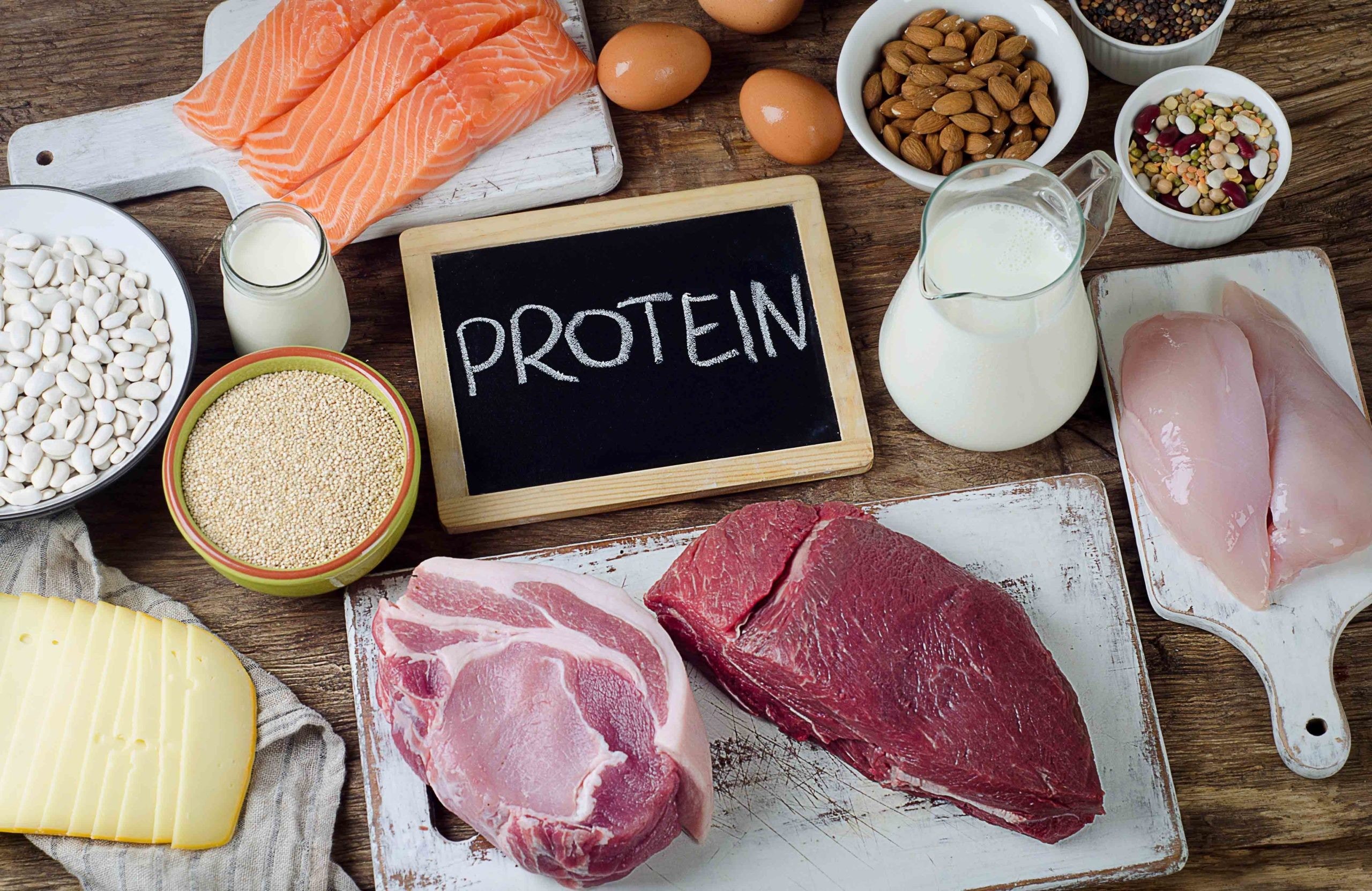 All About Body Health Protein (Your Questions Answered & Top Food Sources Listed)