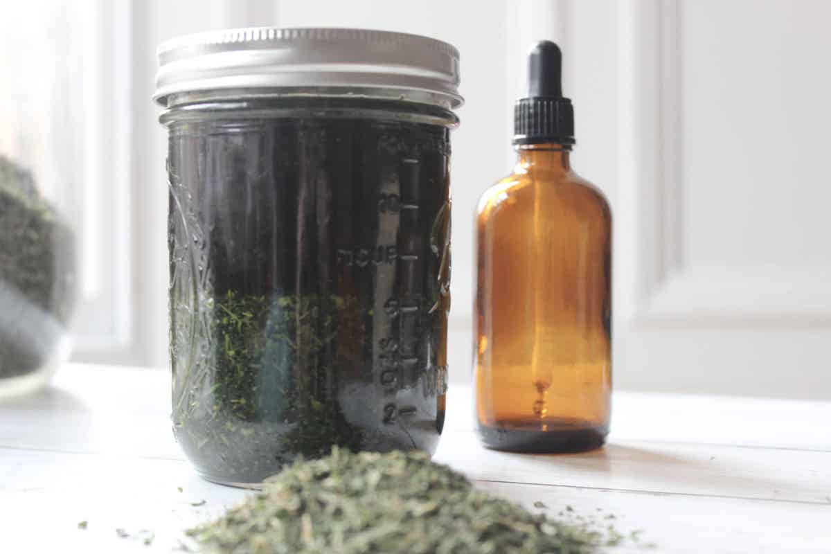 DIY Stinging Nettle Tincture: Quick and Easy How-To